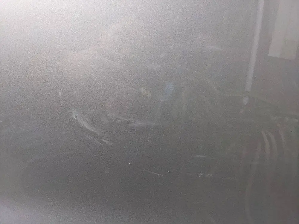 PXL_20210924_141914650.jpg
