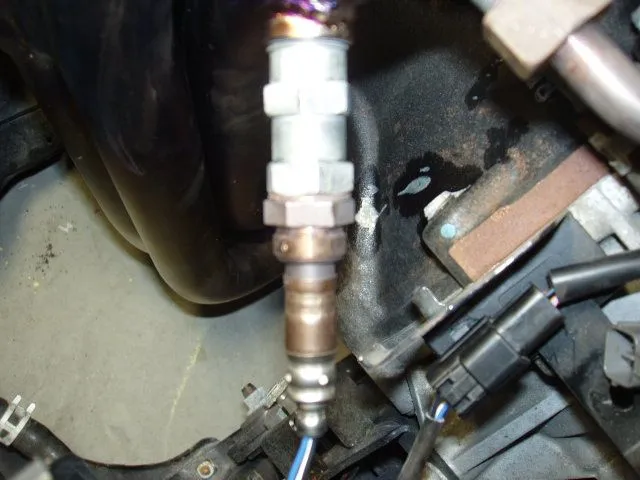 Ractive Header 005.webp