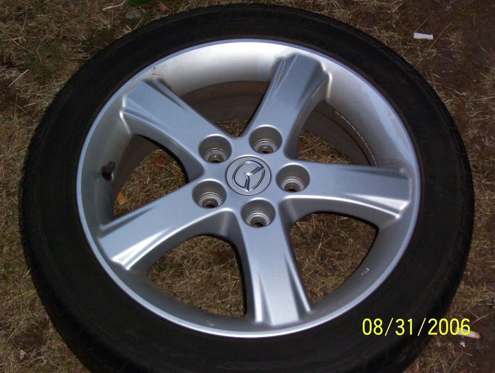 random pics 074.webp