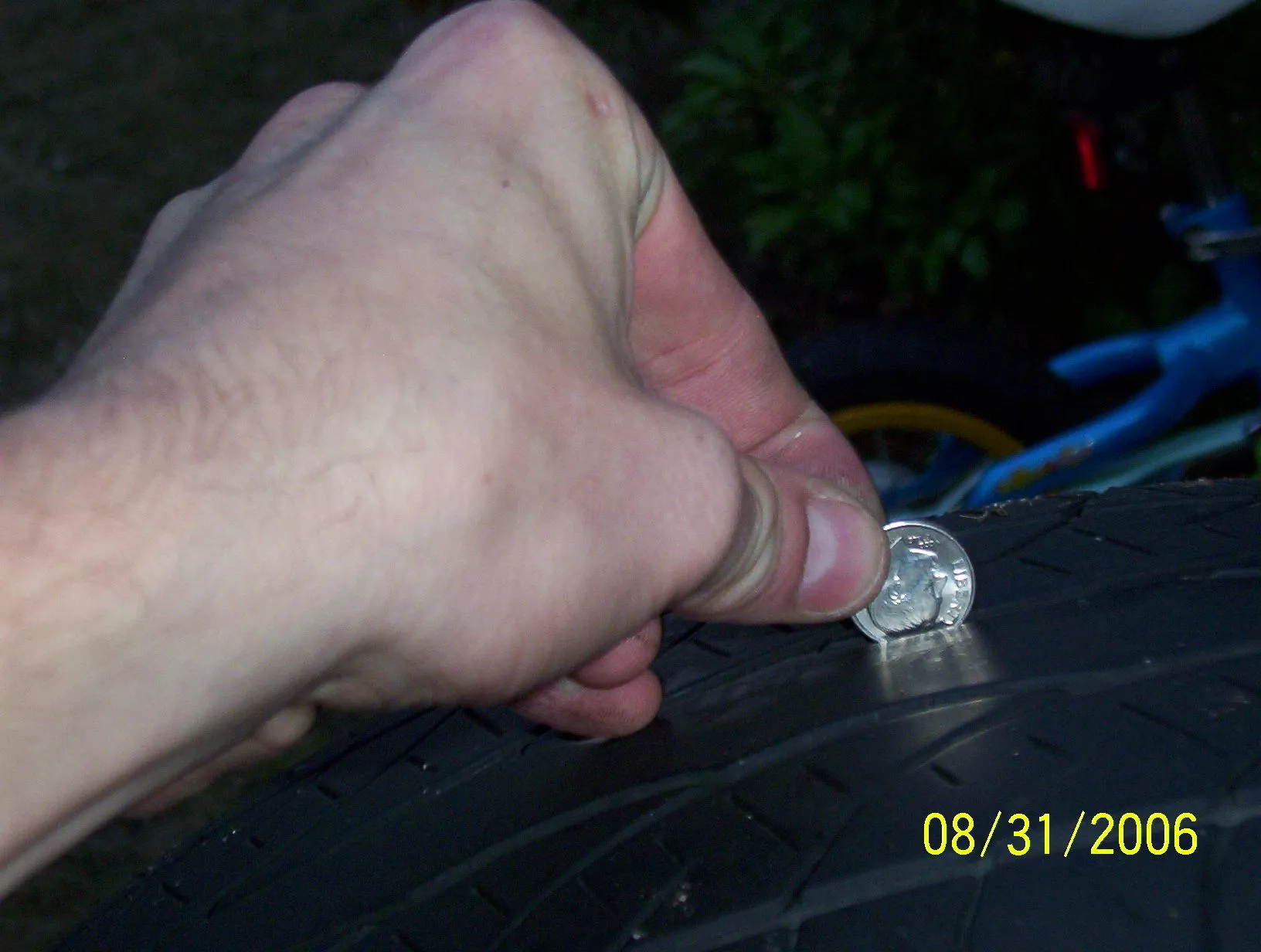 random pics 075.webp