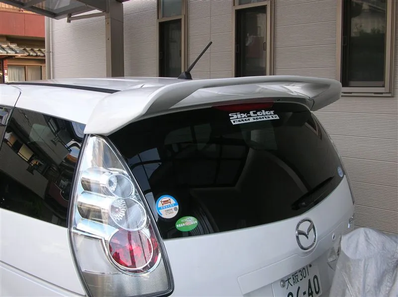 rear wing.jpg