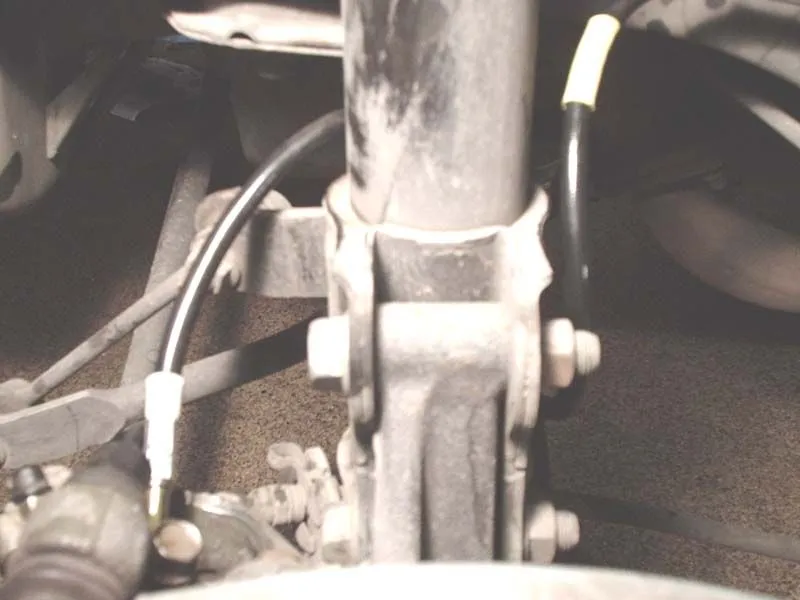 rearlinedetail.jpg