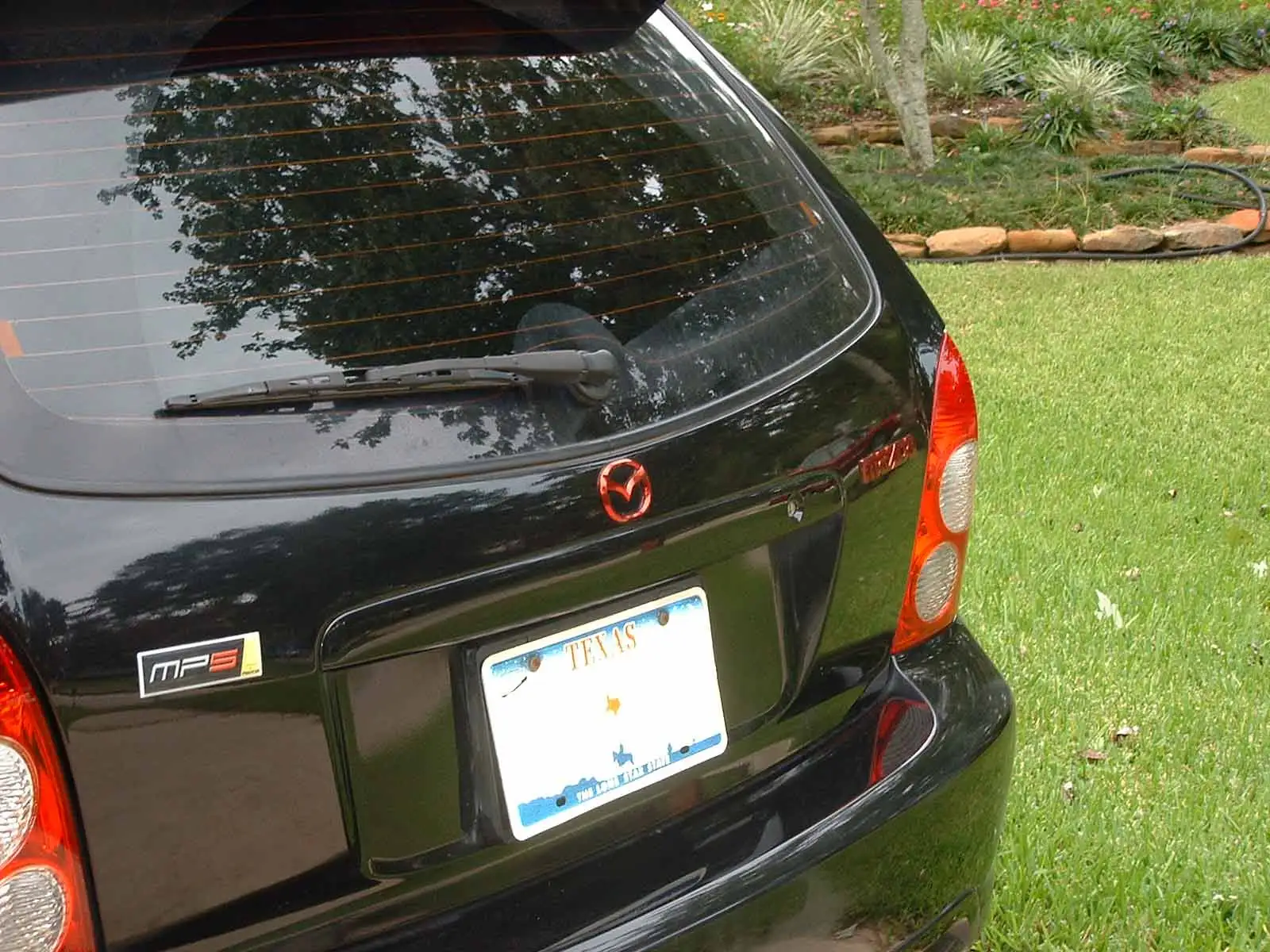 red-back.jpg