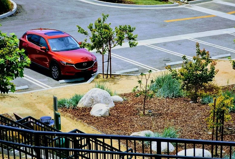 red park.jpg