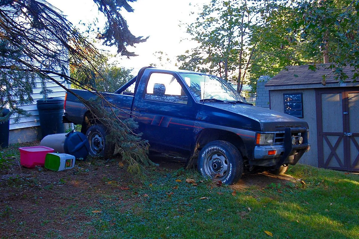 redneckyard.jpg