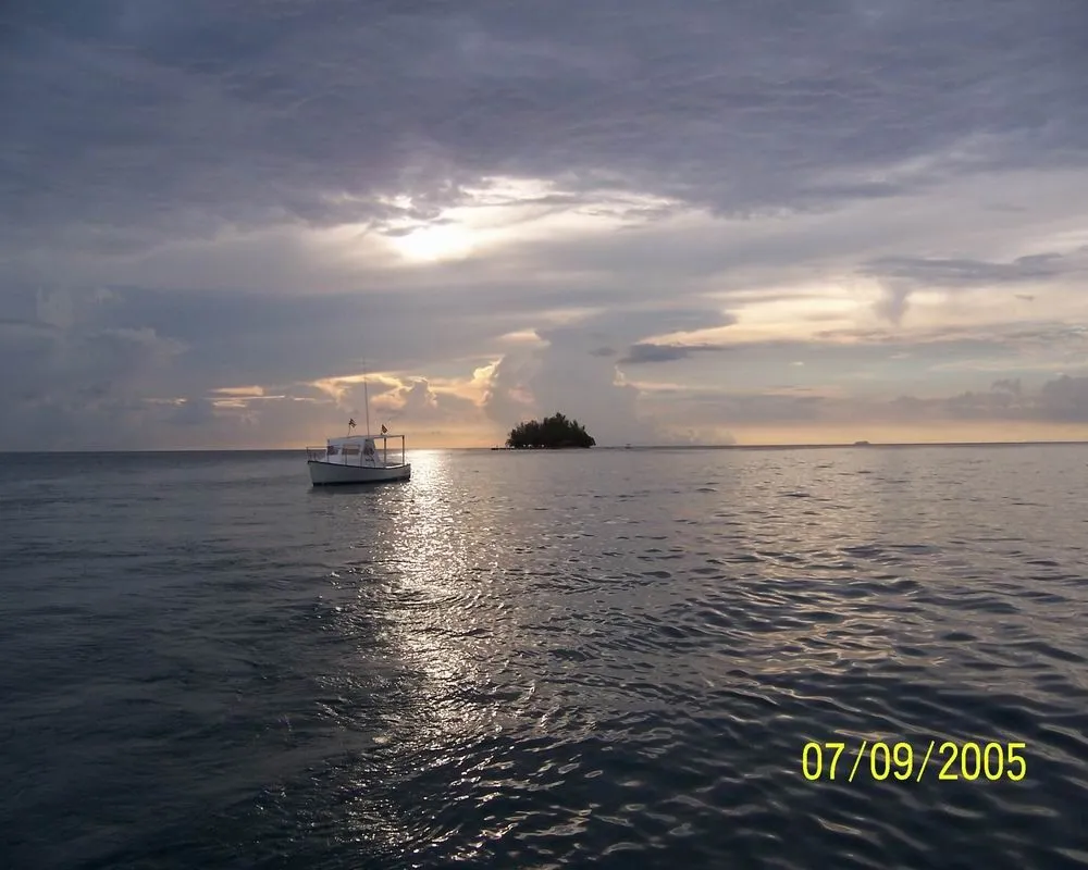 Resize of ET 01 295.webp