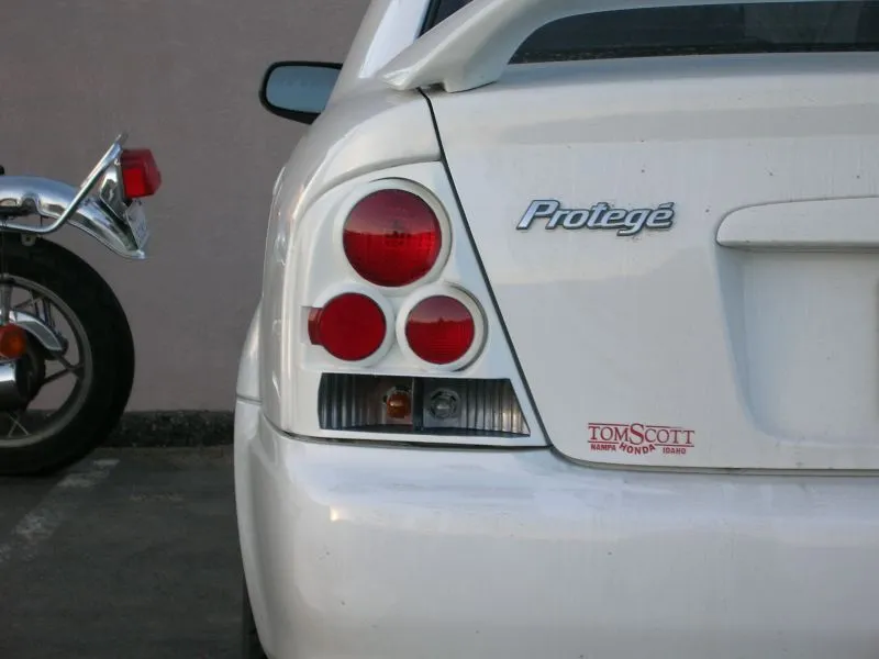 resized tail 3.jpg