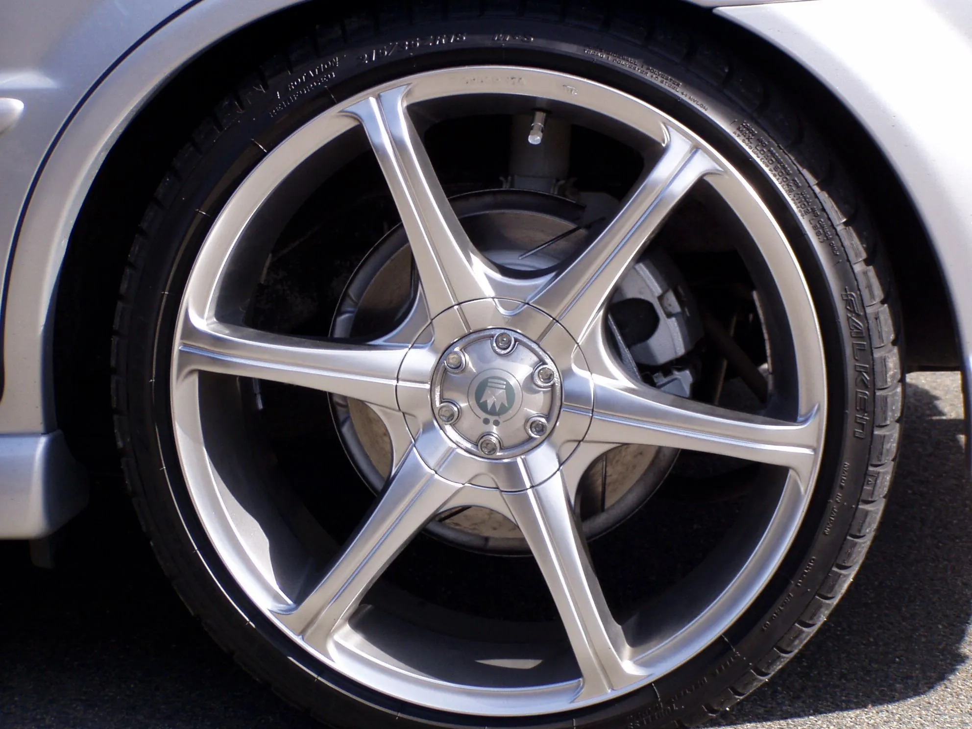 Robin's pics 001.webp