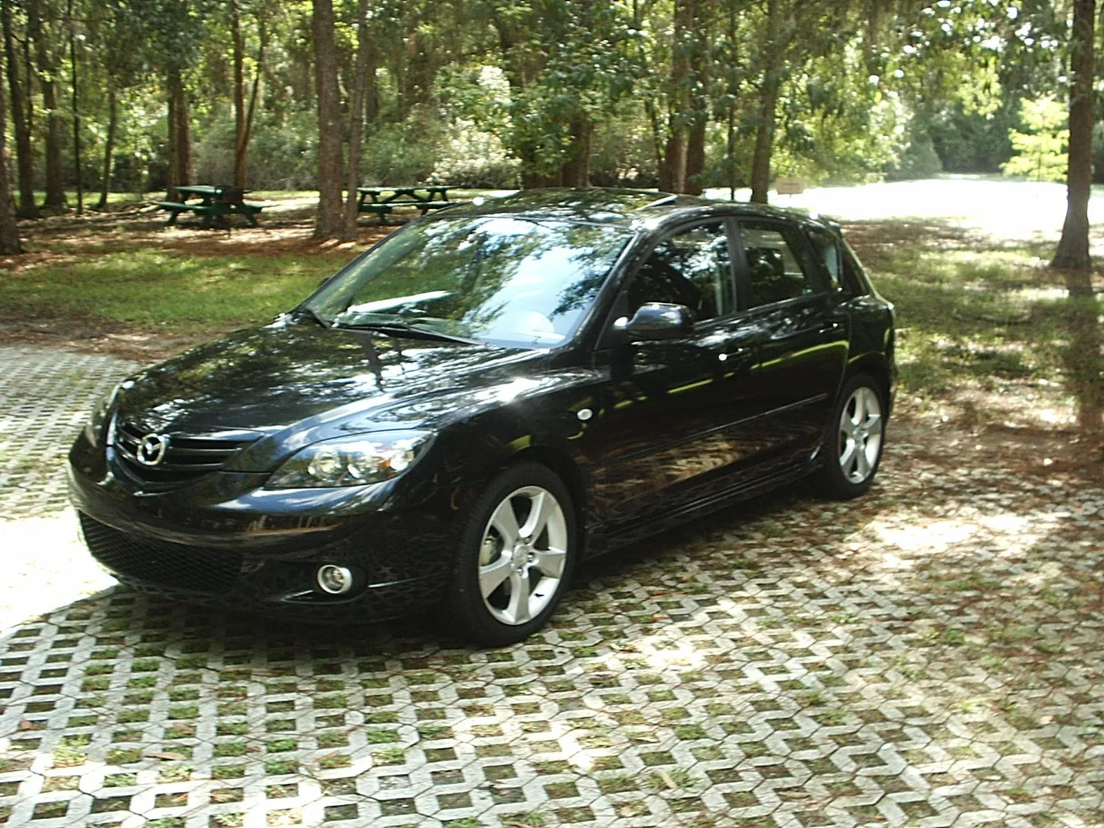 S2010107.JPG