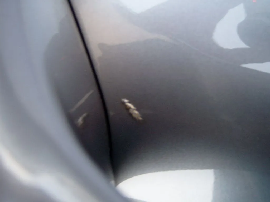 S3500117.JPG