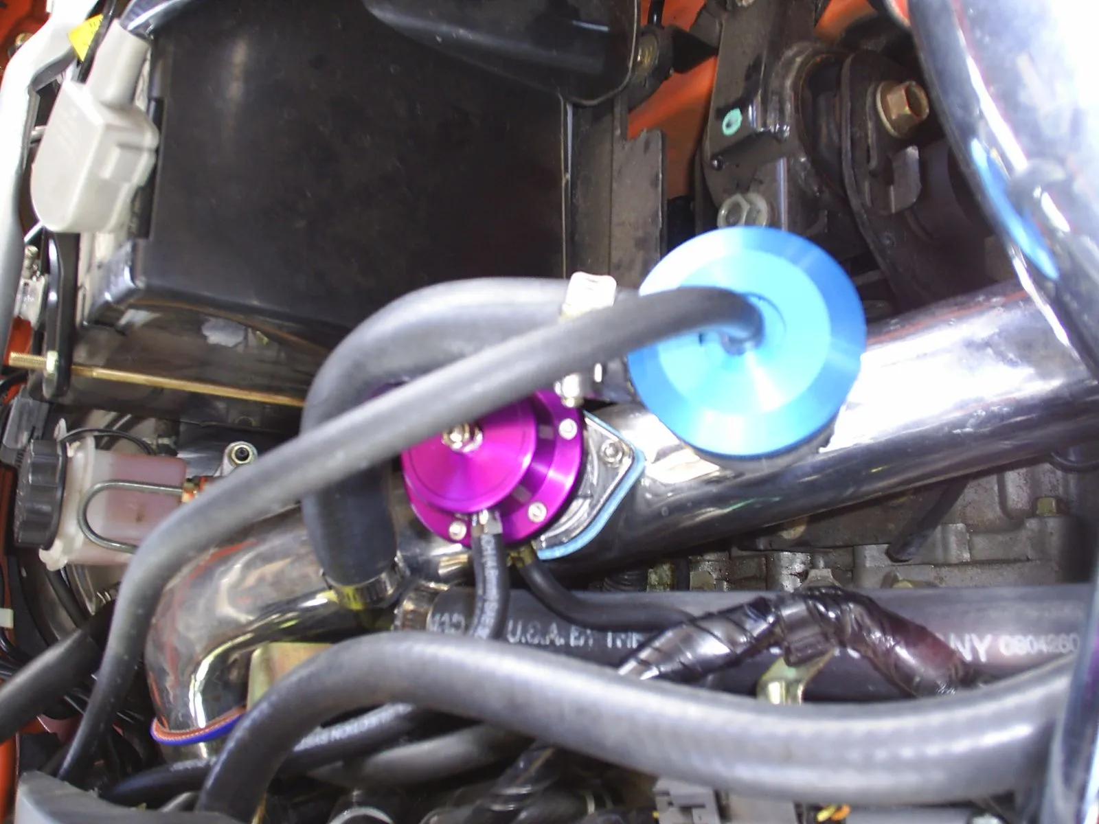 S4010057.JPG