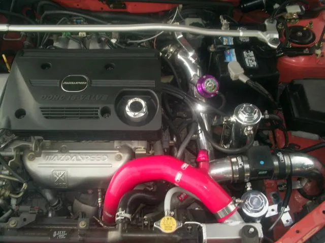 S4021204.JPG