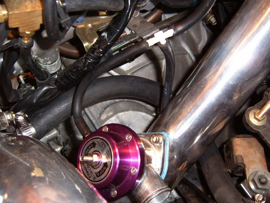 S4300218.JPG