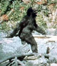 sasquatch.webp