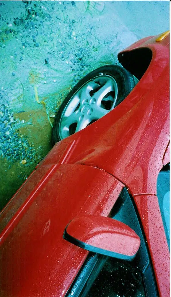 scan0007.jpg