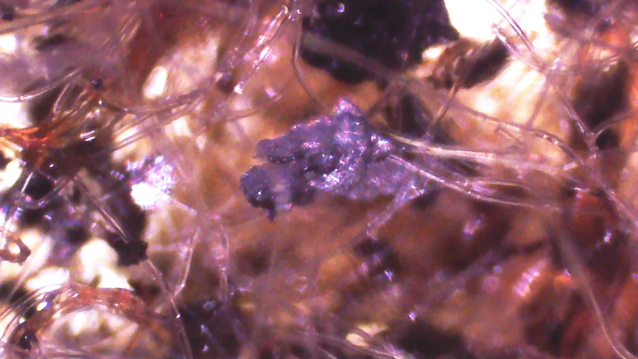 Screen Shot 2025-12-24 at 12.02.24 PM.webp