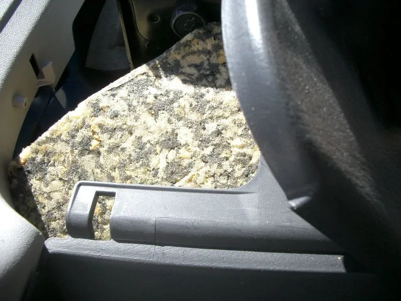 Seatbelt foam.jpg