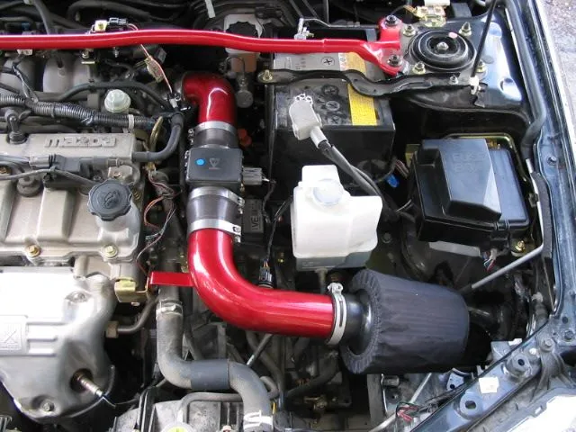 short ram0001.JPG