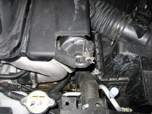 ShortShifter 007.webp