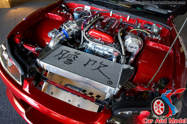 Silvia-02.jpg