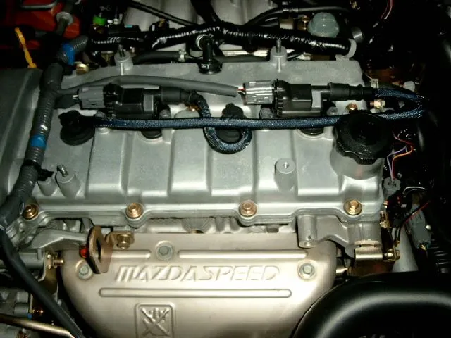 simg0437.jpg