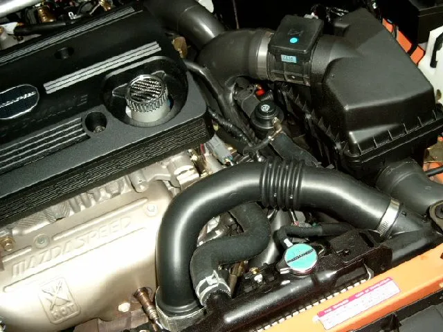 simg0775.jpg
