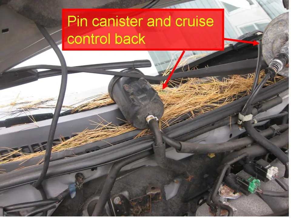 Slide5.JPG