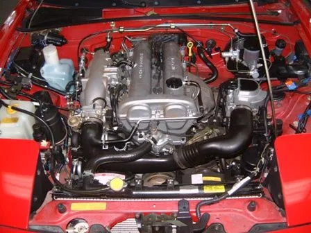 sm5.JPG