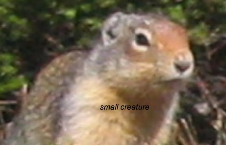 smallcreature.webp