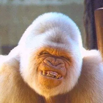 smileicon.jpg