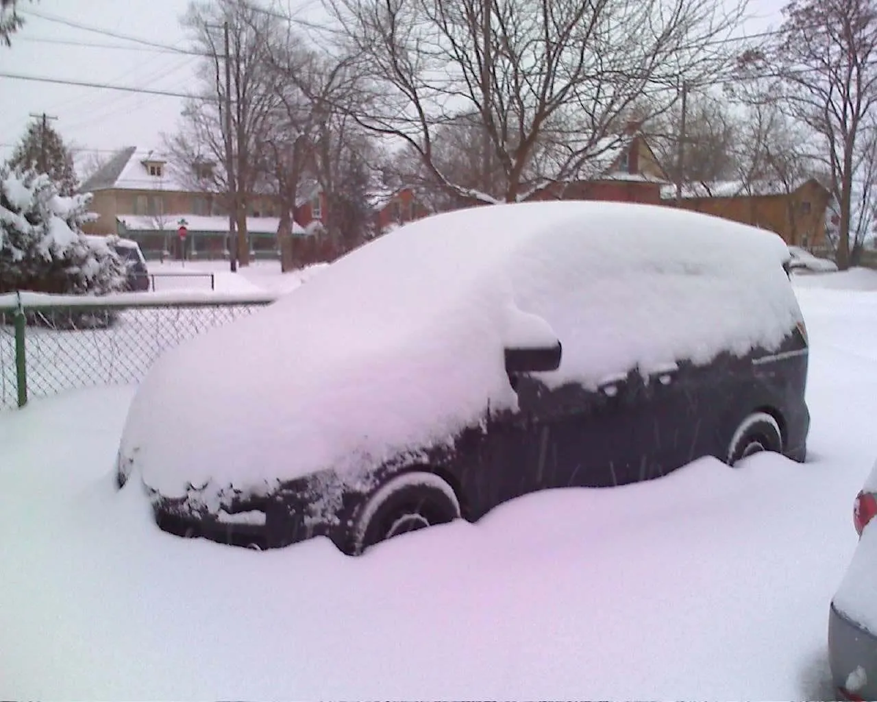 Snow Day.jpg