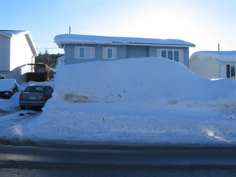 snow.jpg