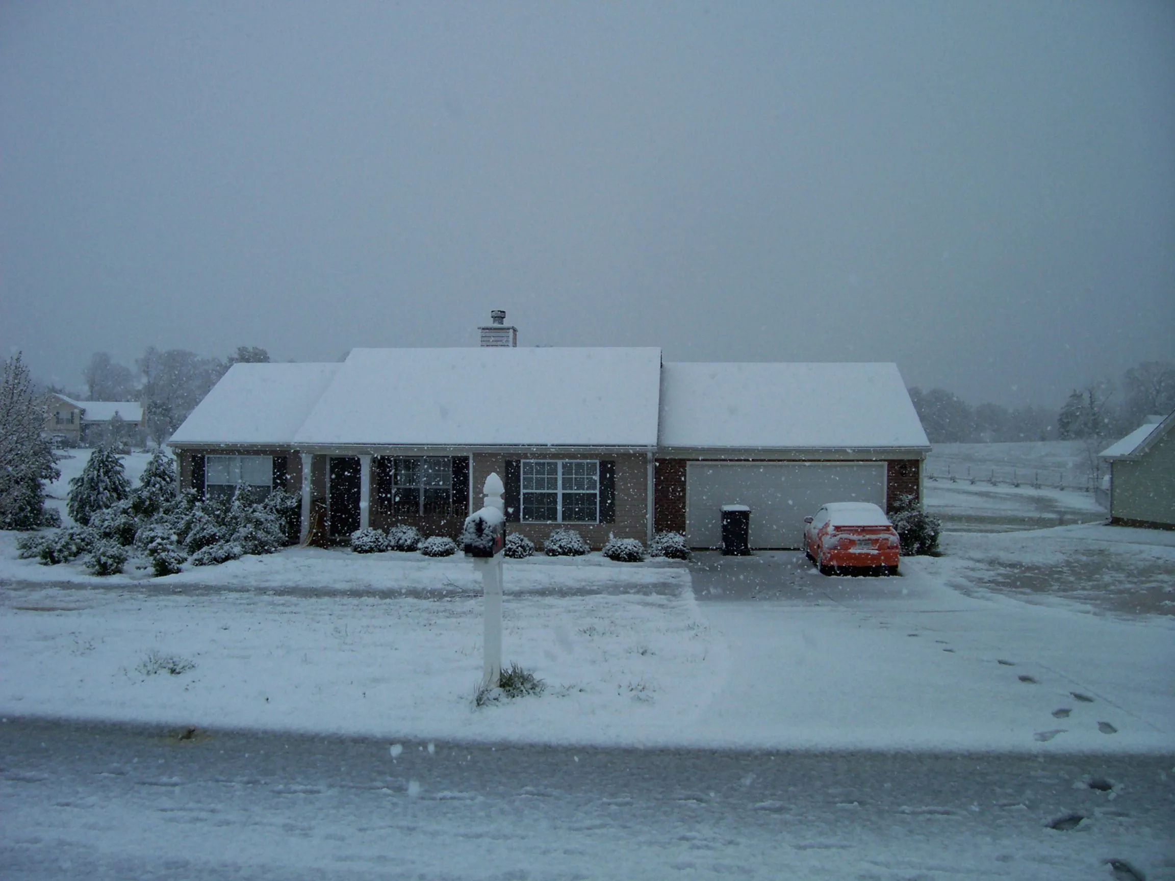 SnowDay2009 002.webp