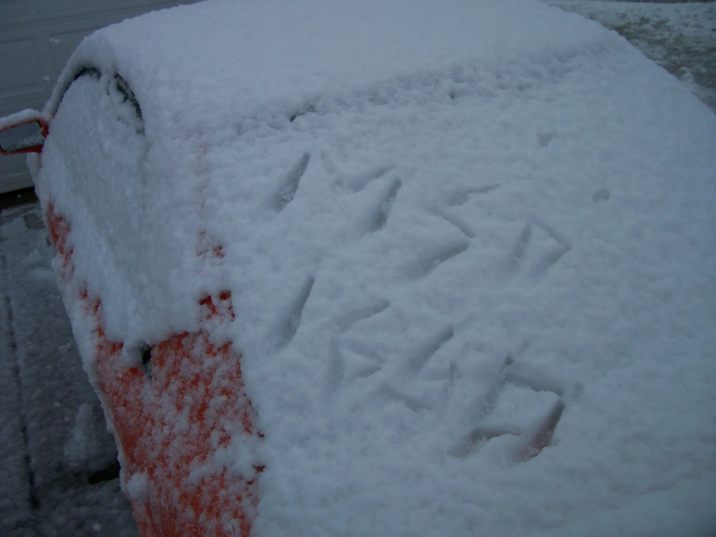 SnowDay2009 009.webp