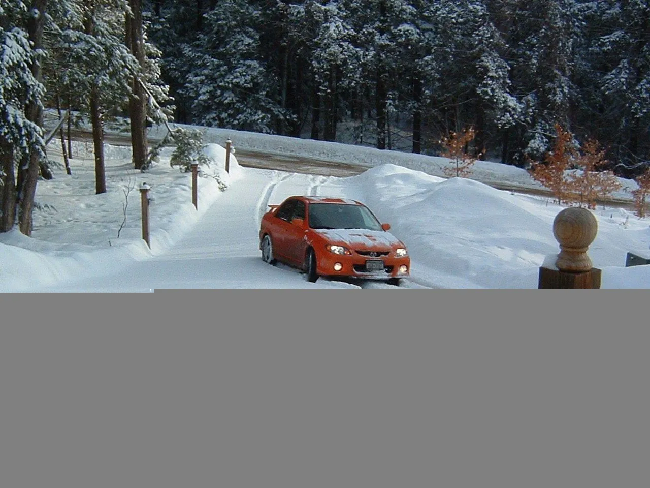 snowed.jpg
