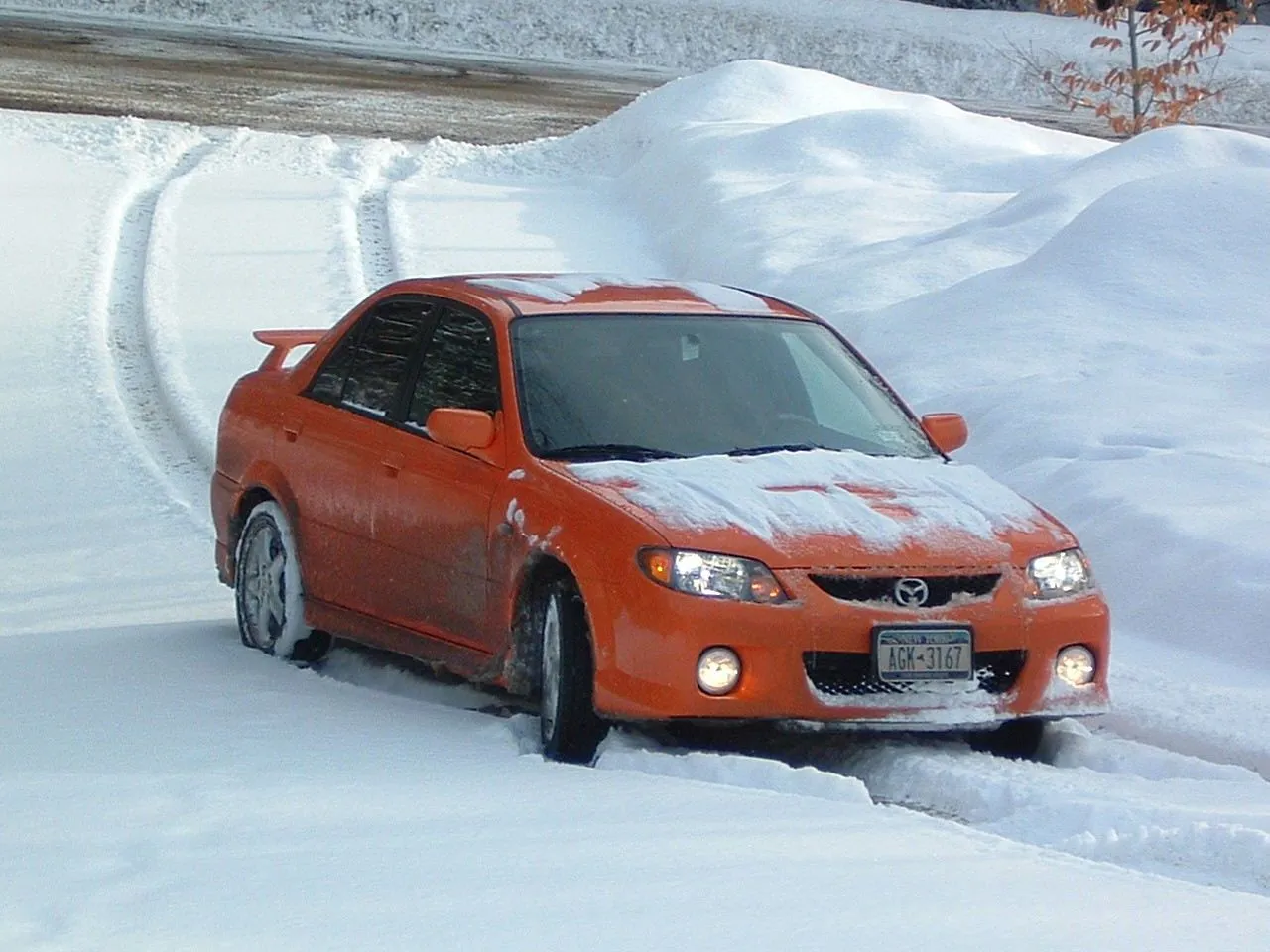 snowed1.jpg