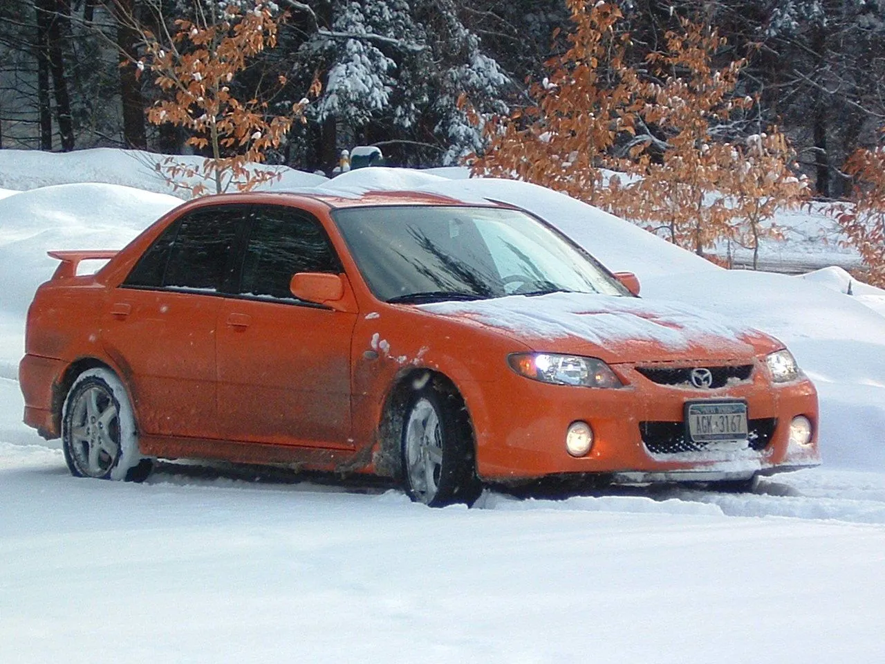 snowed2.jpg