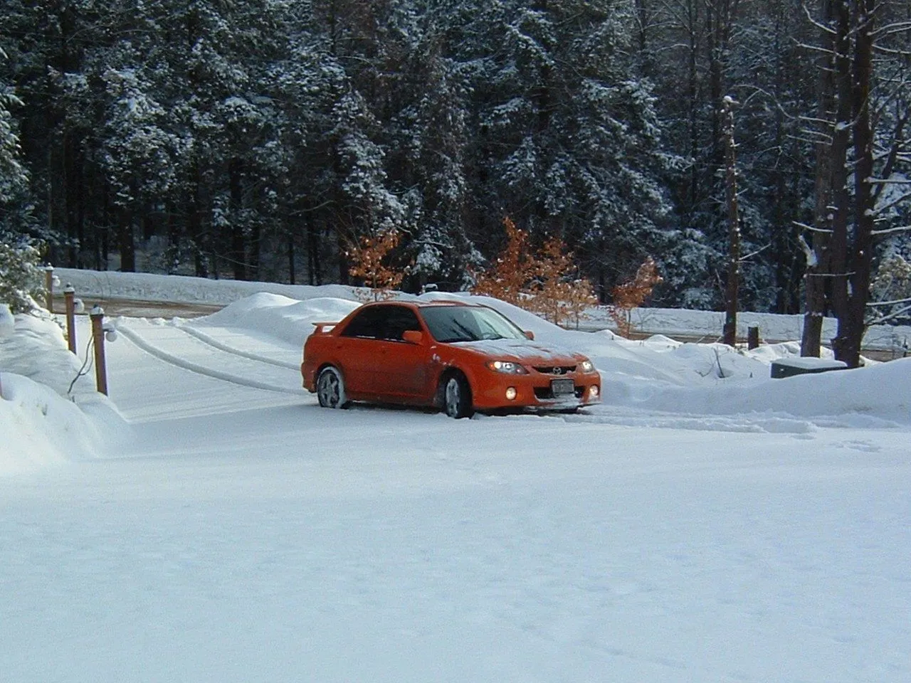 snowed3.jpg