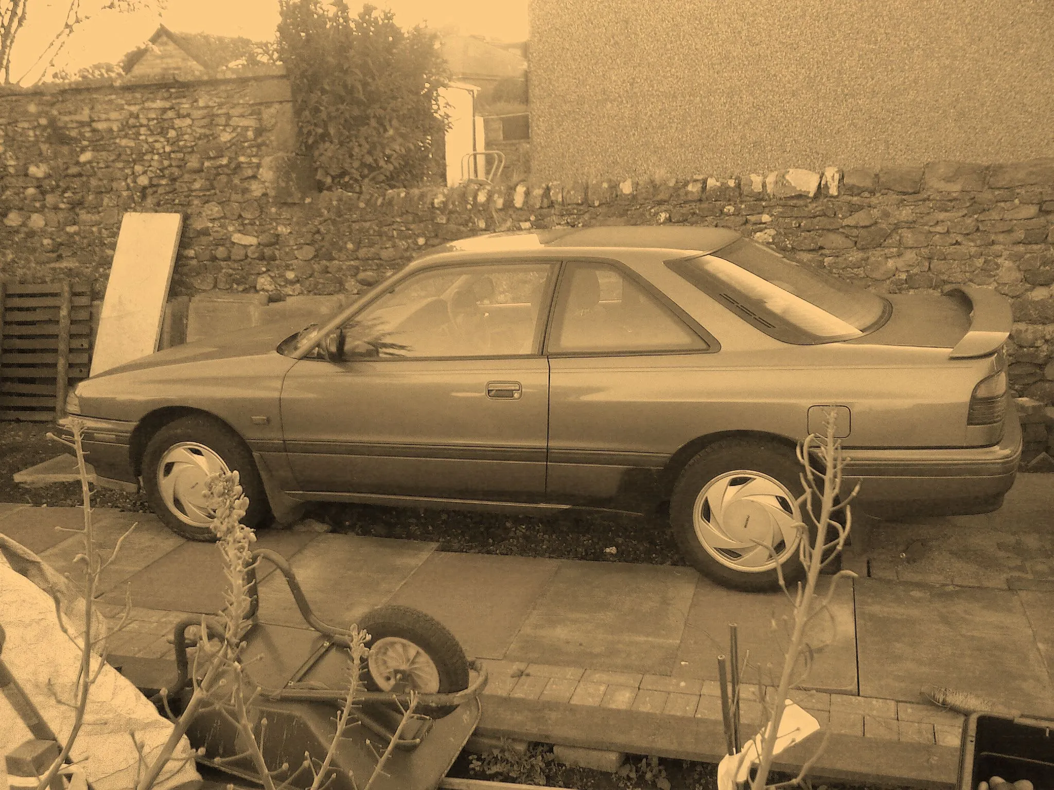 SP_A0021.jpg