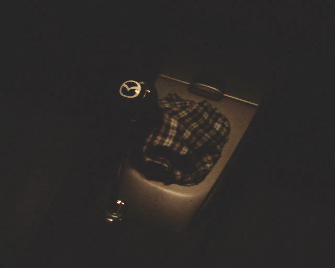 SP_A0390.jpg
