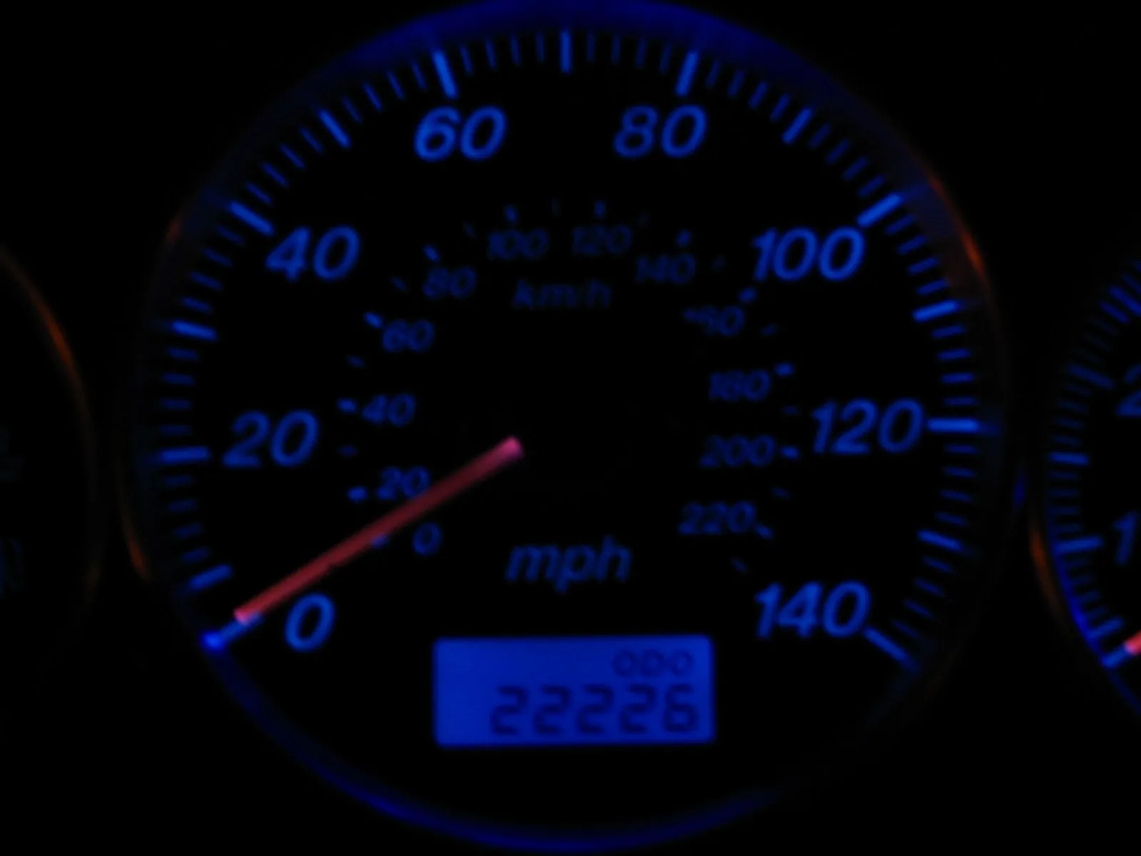 speedo.jpg