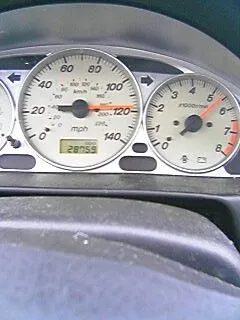 speedo.jpg