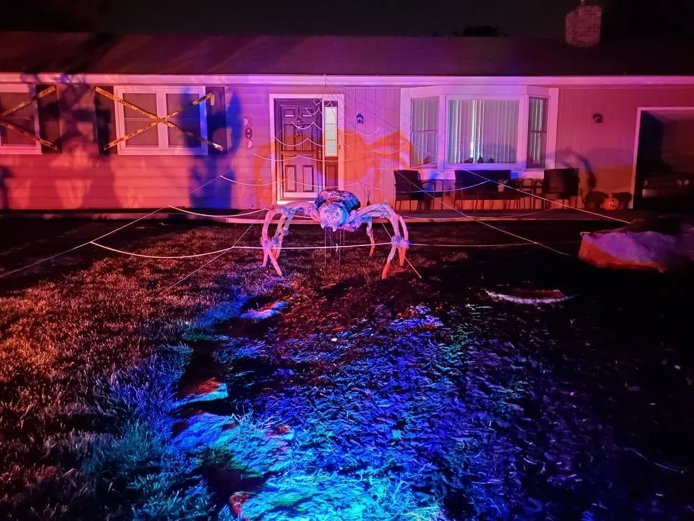 Spider.jpg