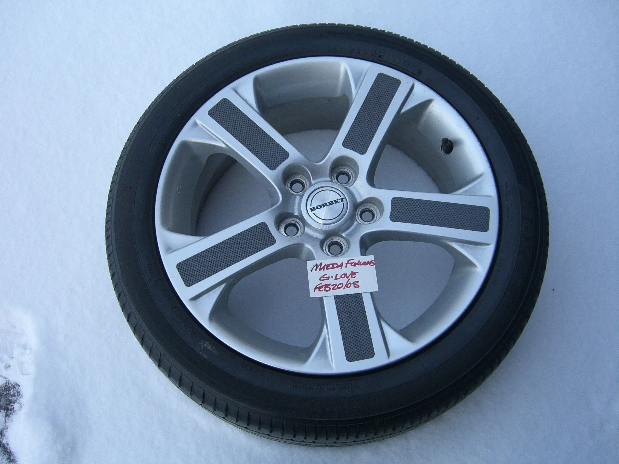 spring 2008 246.webp