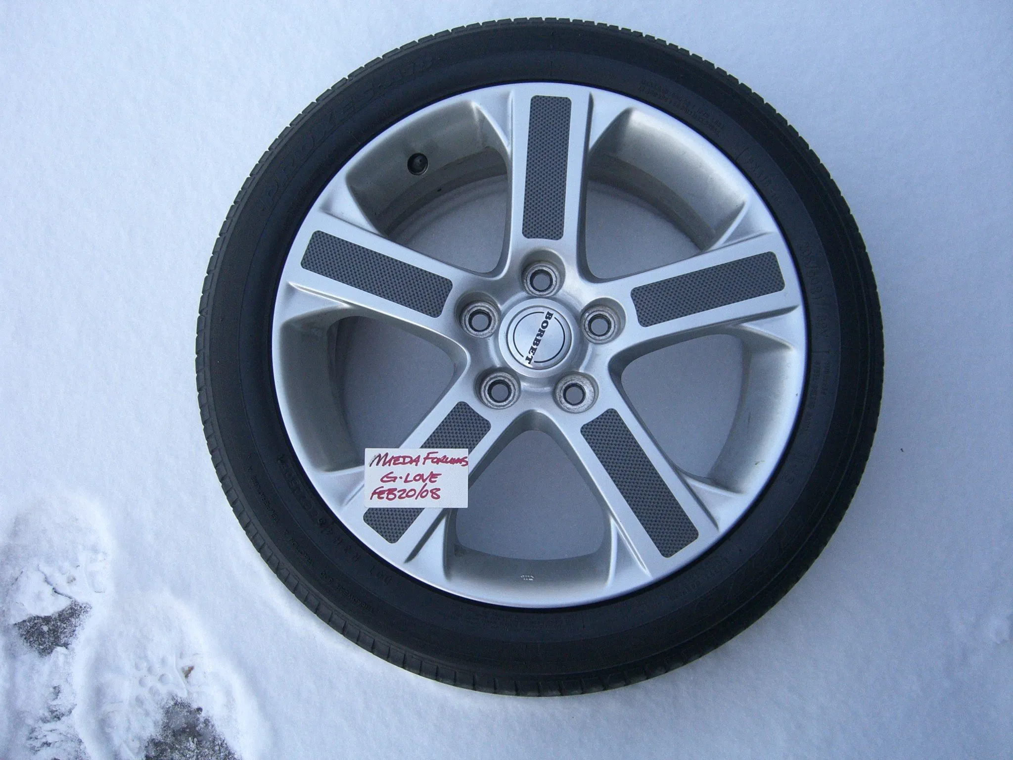 spring 2008 248.webp