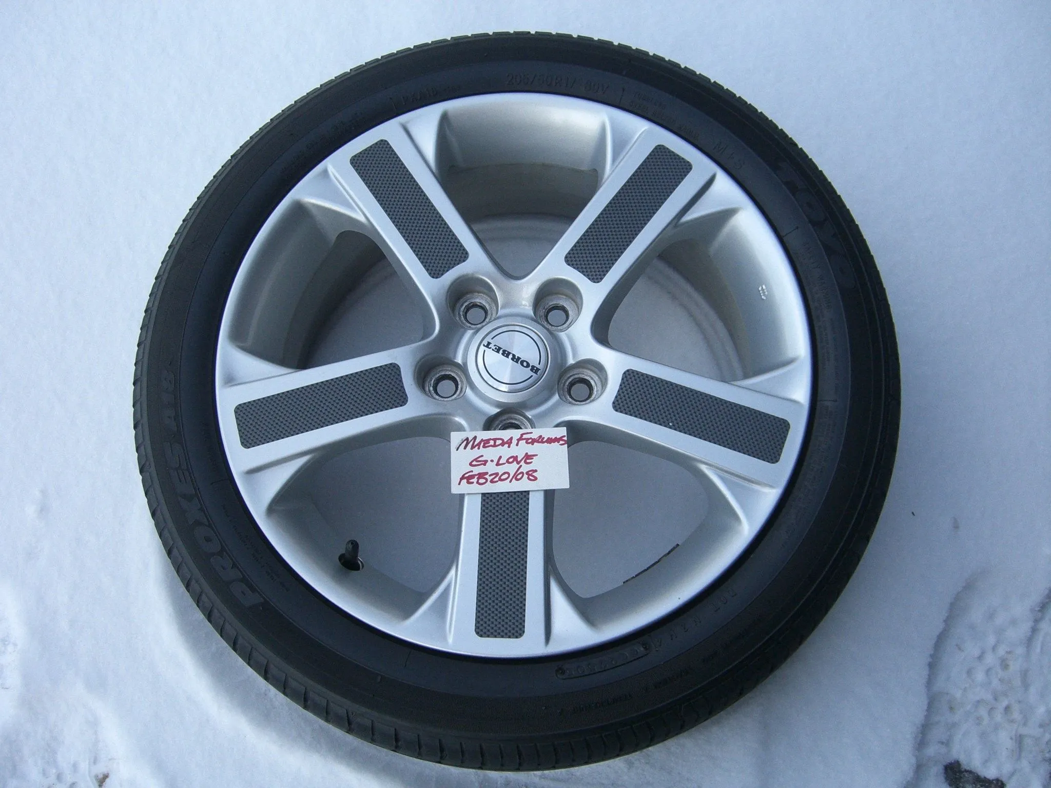 spring 2008 250.webp