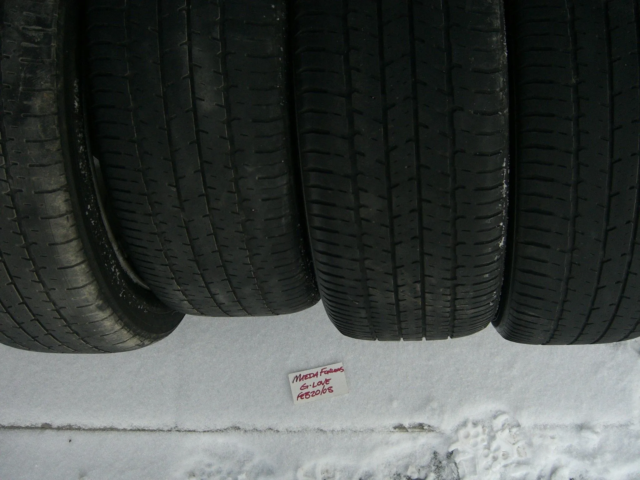 spring 2008 251.webp