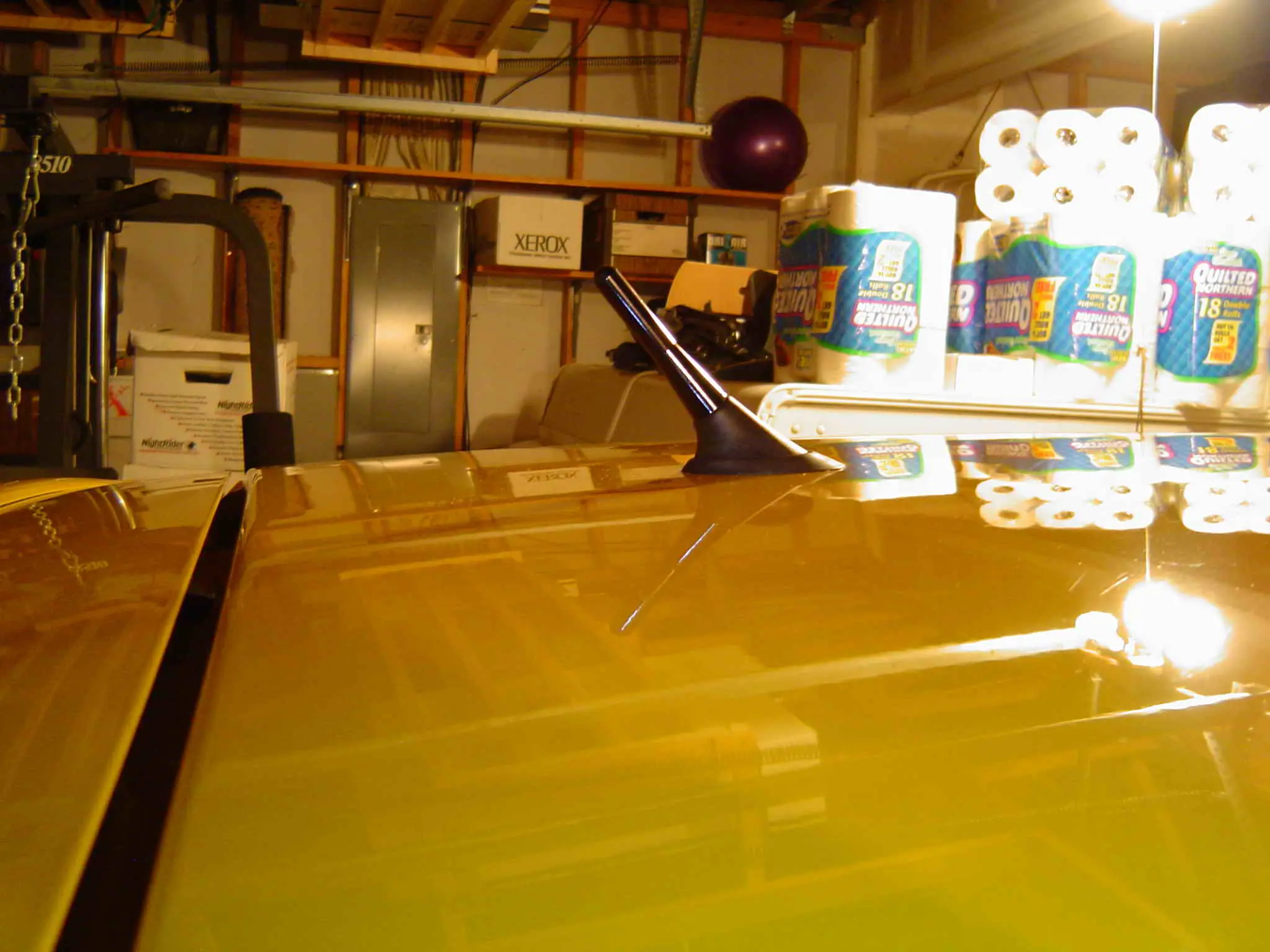 spring break 094.jpg