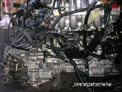sr203.jpg