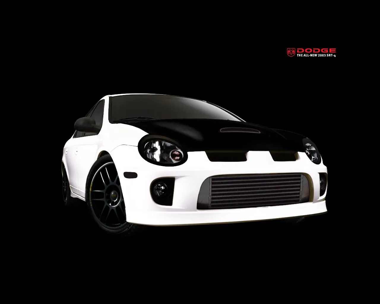 SRT-4.webp